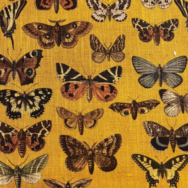 De-Leo-Textiles-Lady-Marigold-2